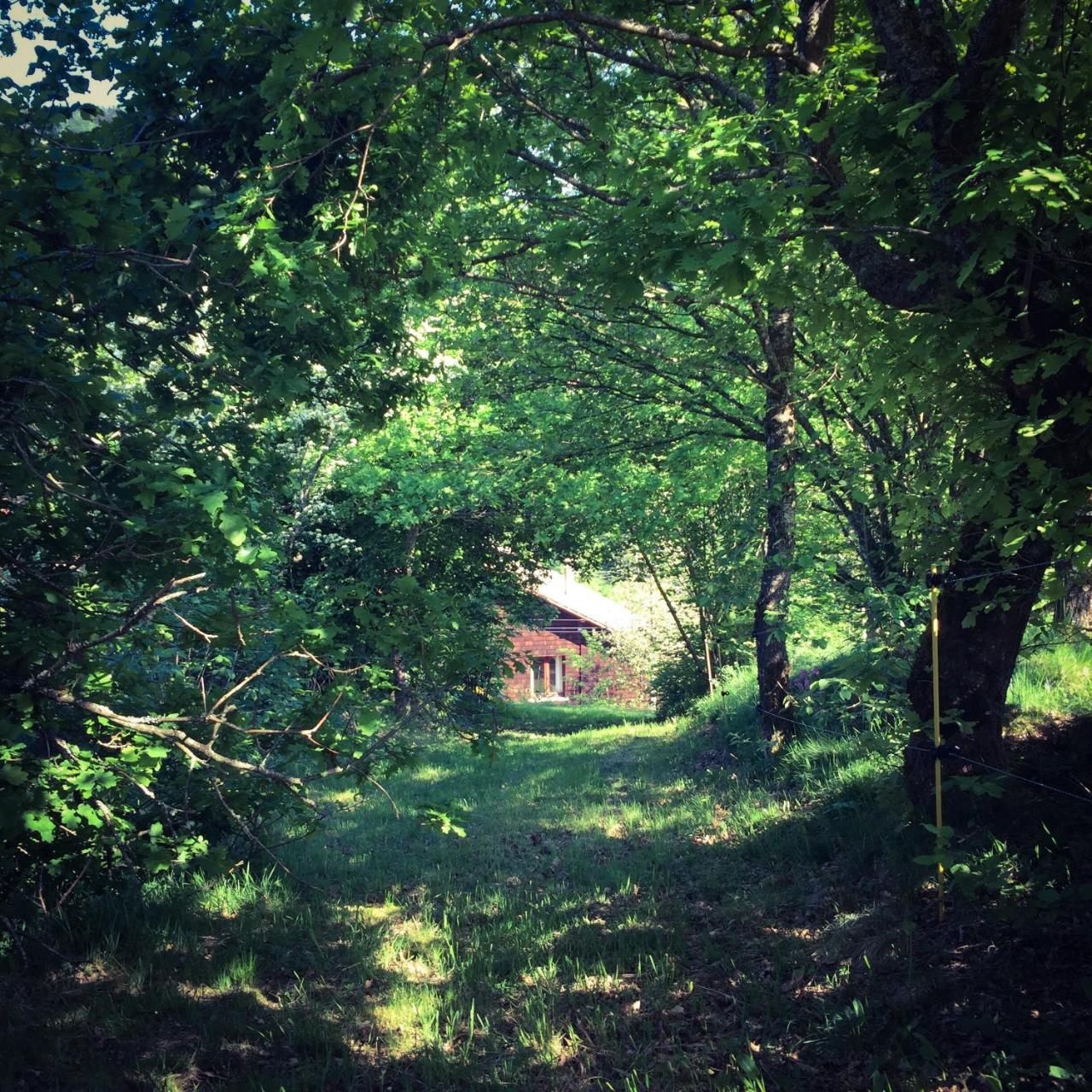 Fresse-sur-Moselle Silver Trees - Glamping מראה חיצוני תמונה